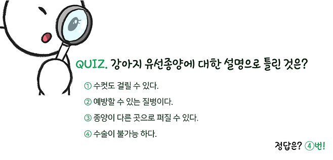 강아지 찌찌에 오돌토돌한 게 잡혔는데, 유선종양이래요 ㅠㅠ | 비마이펫