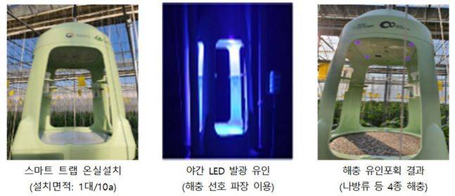 스마트 트랩 온실 설치에 따른 해충 유인 포획력 증진 ⓒ농진청