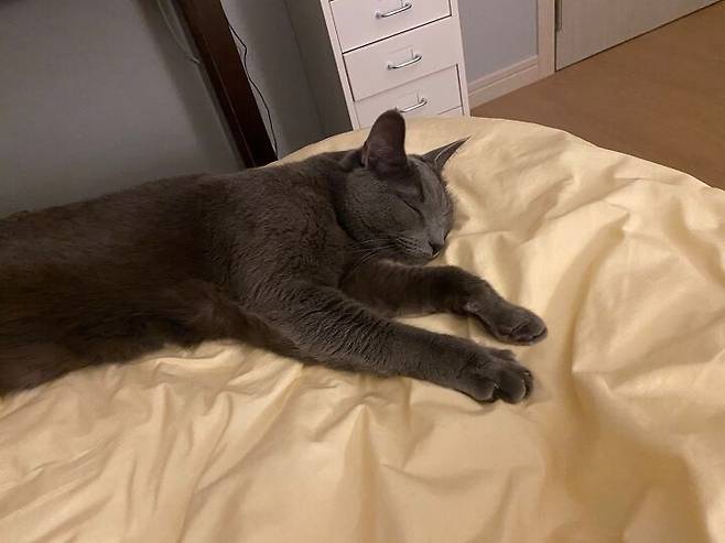 출처: 집꾸미기에서 정보 알아보기 (▲이미지 클릭!)