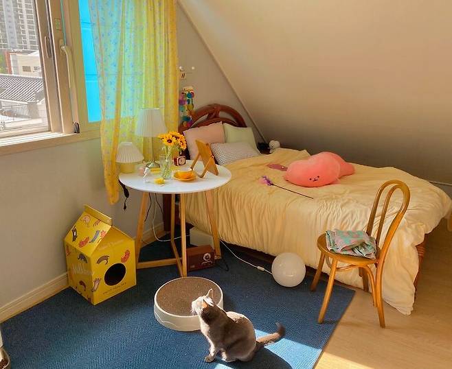 출처: 집꾸미기에서 <침대 공간> 아이템 정보 알아보기 (▲이미지 클릭!)