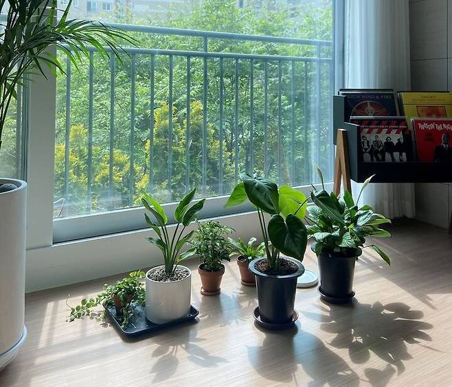 출처: 집꾸미기에서 정보 알아보기 (▲이미지 클릭!)