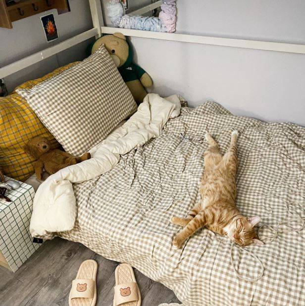 출처: 집꾸미기에서 <침실 아이템> 정보 알아보기 (▲이미지 클릭!)