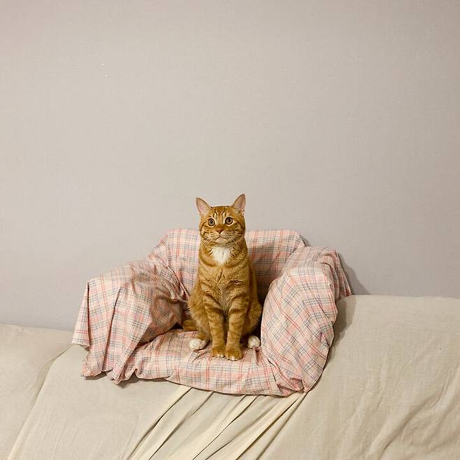 출처: 집꾸미기에서 정보 알아보기 (▲이미지 클릭!)