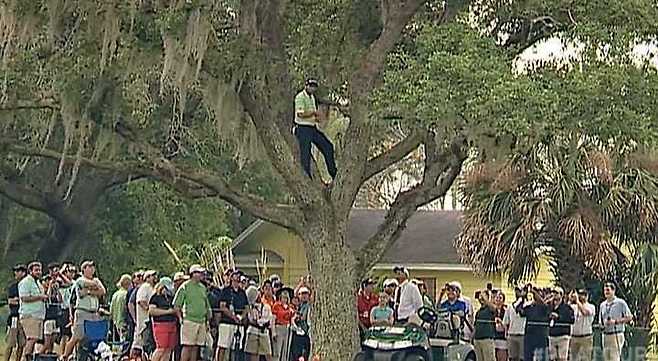 출처: businessinsider.com