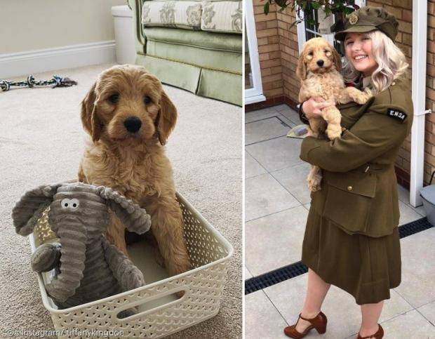 출처: Instagram/ tiffanykingdon