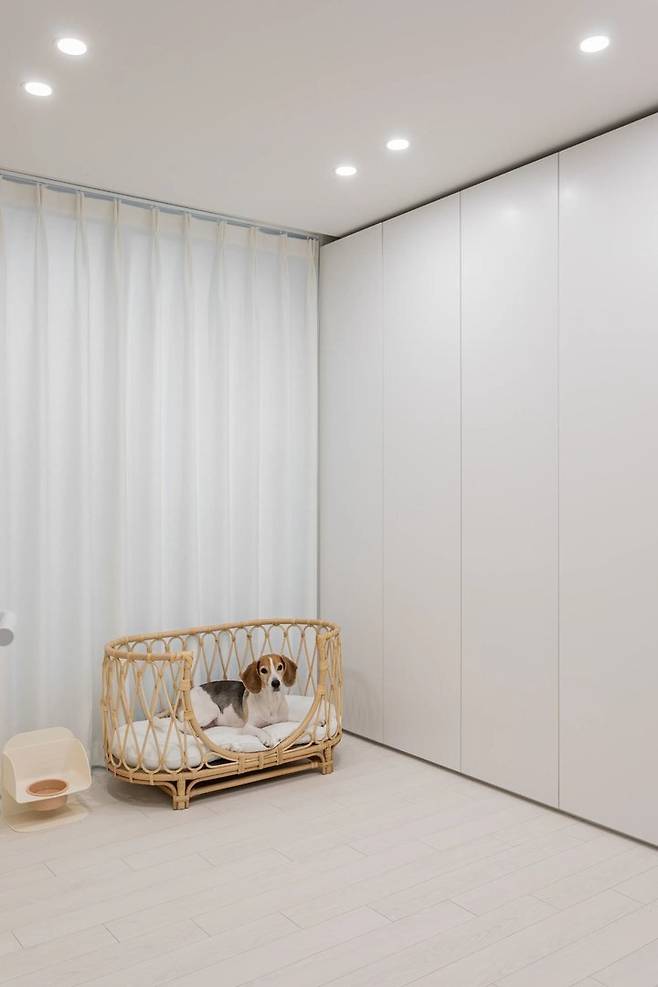 출처: <펫 베드> 정보 보러가기 (▲이미지 클릭)