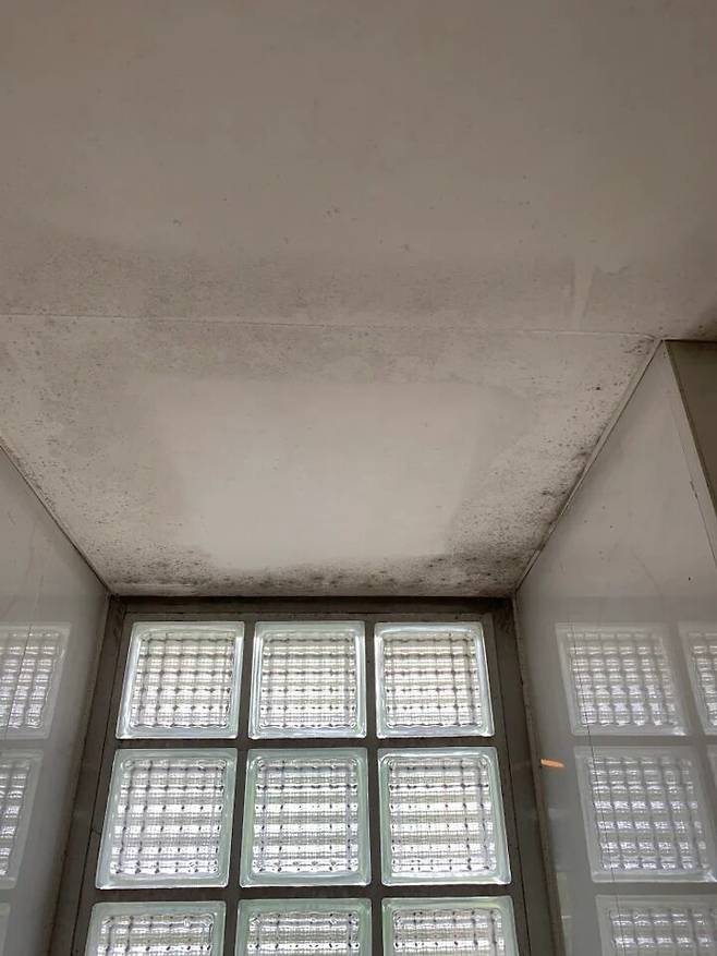 출처: 온라인 집들이 보러 가기 (▲이미지 클릭)