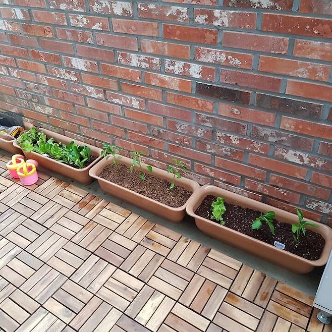 출처: 온라인 집들이 보러 가기 (▲이미지 클릭)