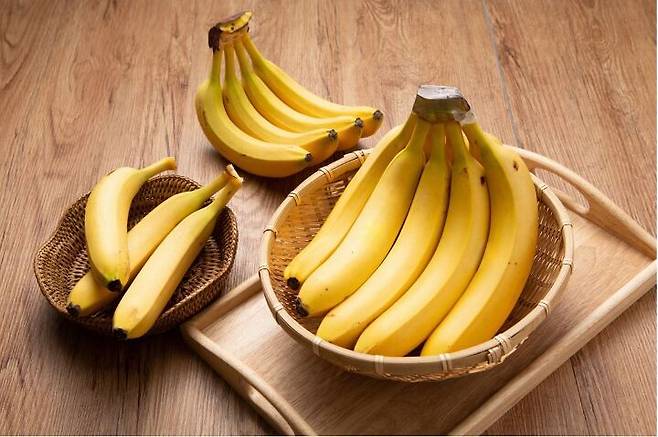 출처: 사진- ⓒ게티이미지뱅크