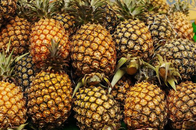 출처: 게티이미지뱅크