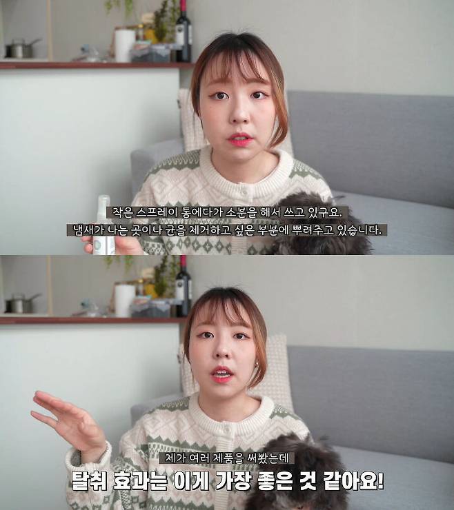 출처: 공실이 유튜브 채널