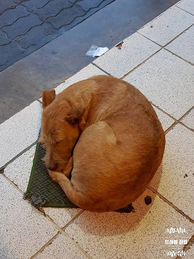 출처: ⓒ 트래블클립