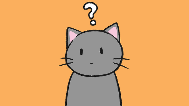 고양이의 그릉그릉, 골골송의 의미는 뭐야? | 비마이펫