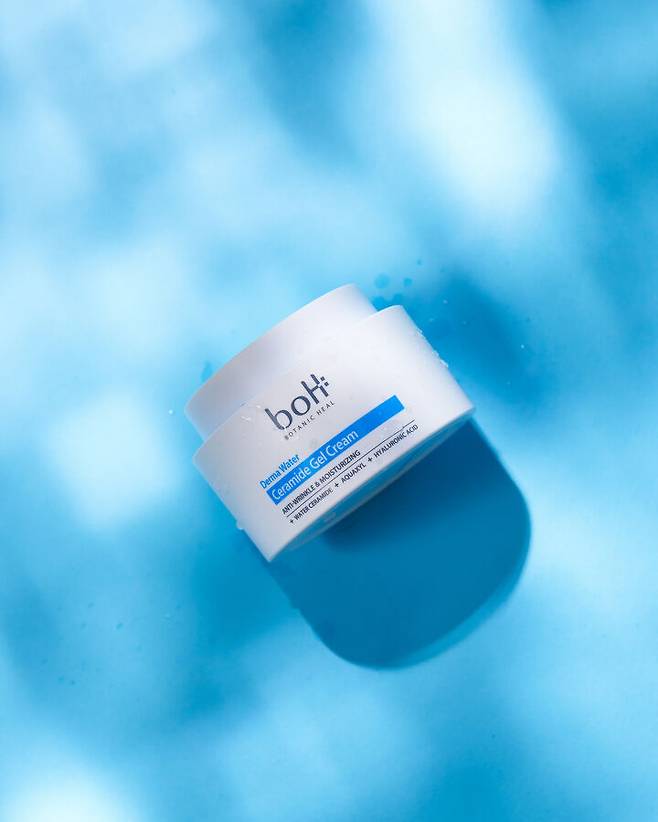 출처: 보타닉 힐 보 더마 워터 세라마이드 젤 크림 (95g/20,000원)