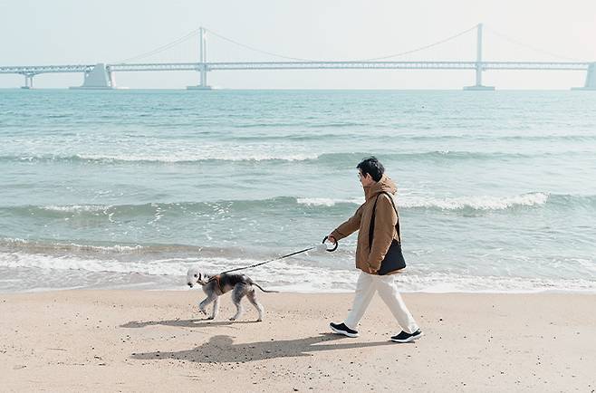 반려견 찰리와 부산 바닷가를 산책 중인 아버지.