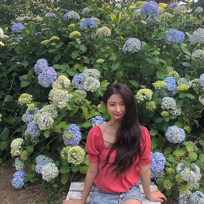 출처: 파이스타일 (파이베트)