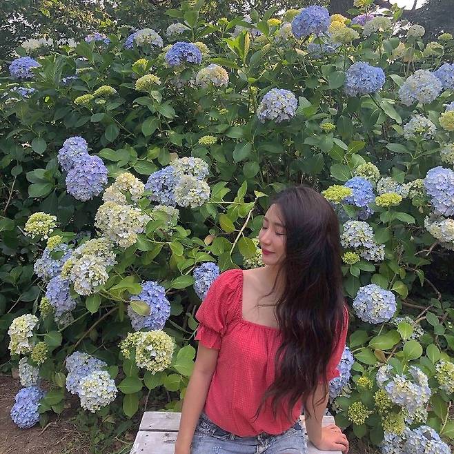 출처: 파이스타일 (파이베트)