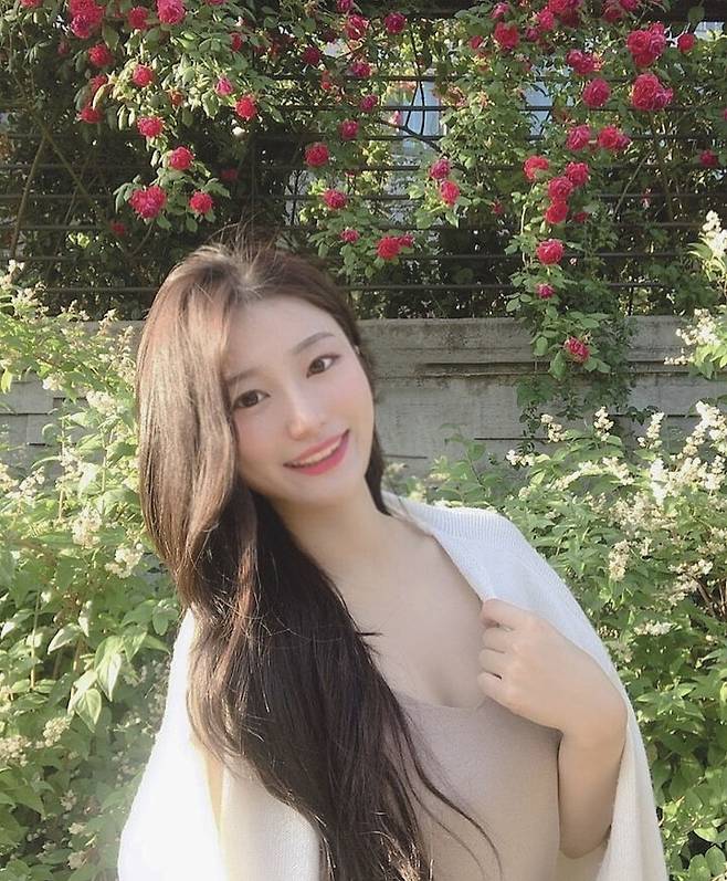 출처: 파이스타일 (파이베트)