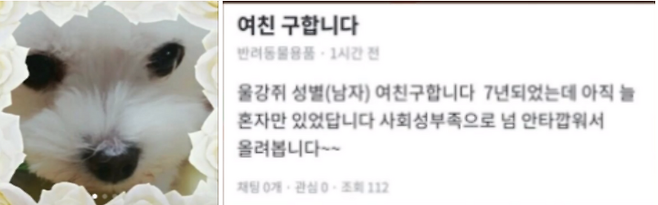 출처: 당근마켓 캡처