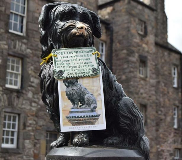 출처: https://www.dailyrecord.co.uk/scotland-now/story-behind-greyfriars-bobby-scotlands-22465887