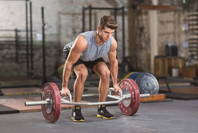 출처: 머슬앤피트니스