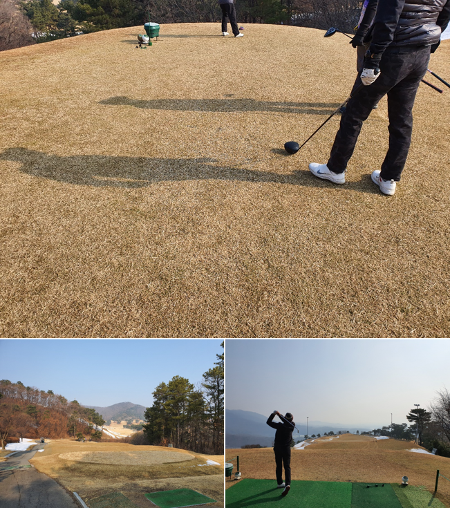 출처: allthatgolf.kr