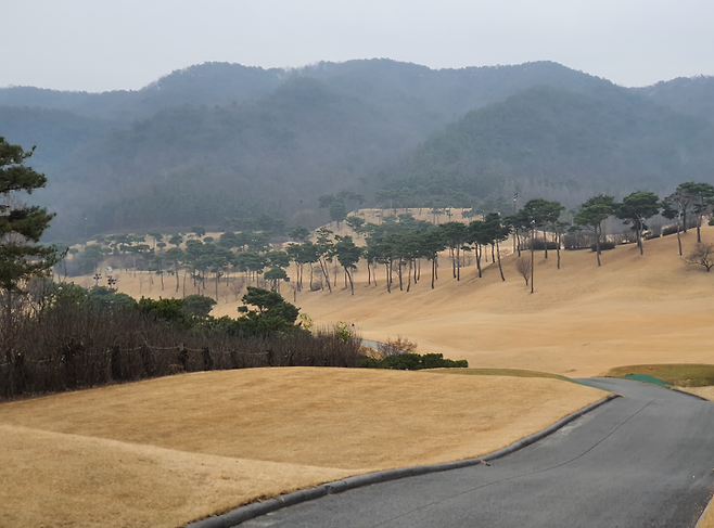 출처: allthatgolf.kr