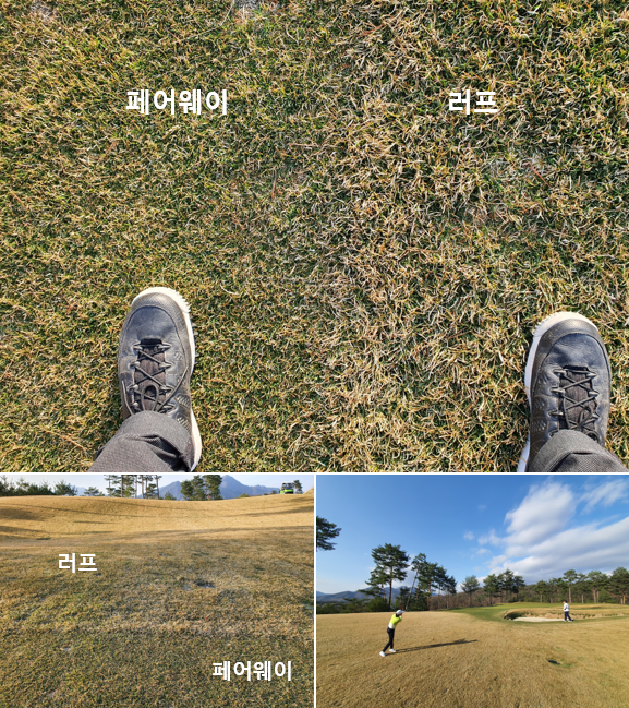 출처: allthatgolf.kr