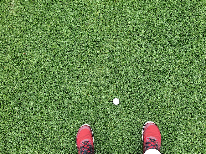 출처: allthatgolf.kr