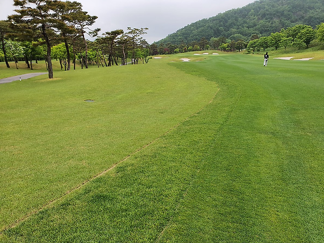 출처: allthatgolf.kr