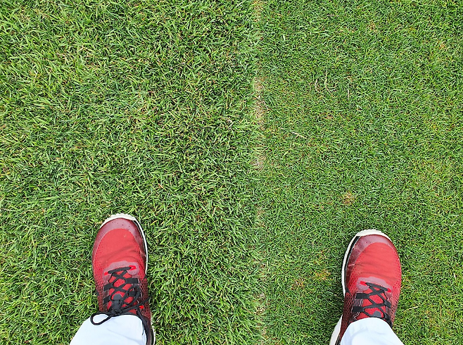 출처: allthatgolf.kr