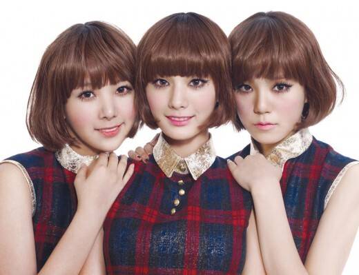 출처: 플레디스