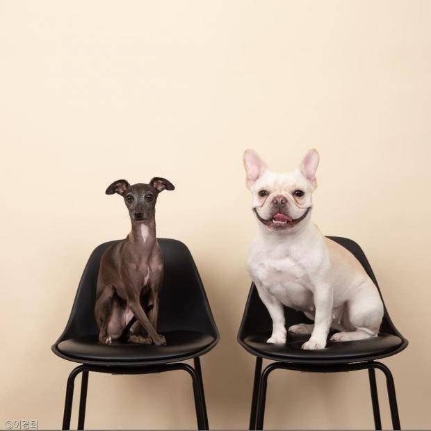 출처: 사진=이경희 씨 제공(이하)