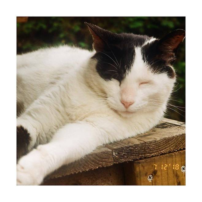 출처: 김보라 인스타그램(@kim_bora95)