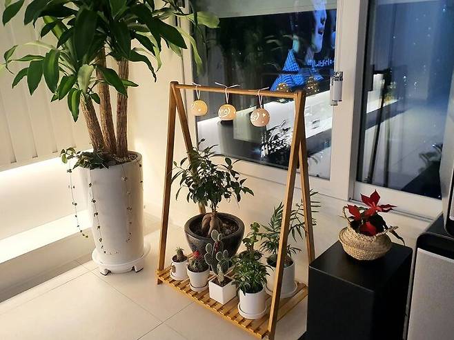 출처: <화분진열대> 등 제품정보 모아보기(▲이미지클릭)