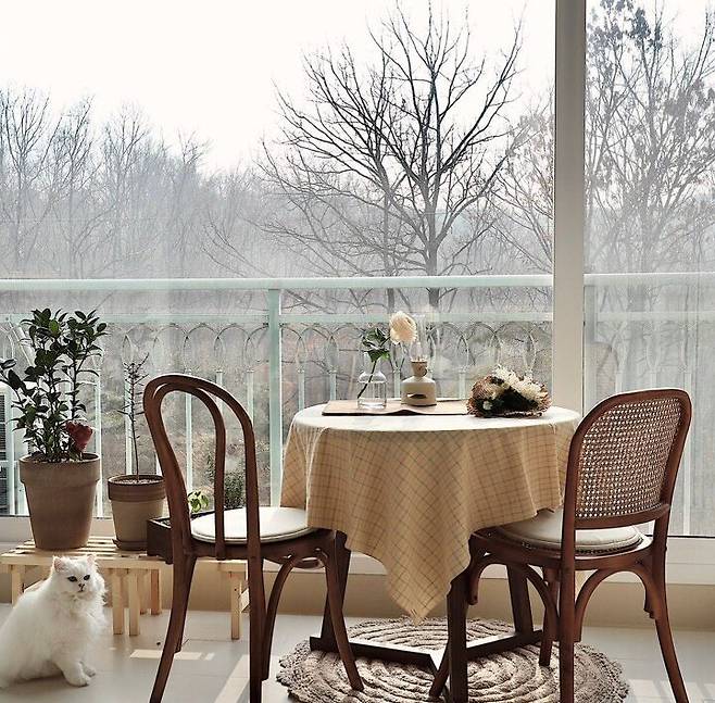 출처: <라탄의자> 등 제품정보 모아보기(▲이미지클릭)