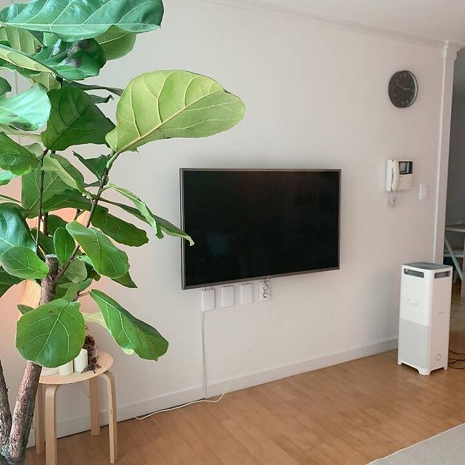 출처: <벽시계> 등 제품정보 모아보기(▲이미지클릭)