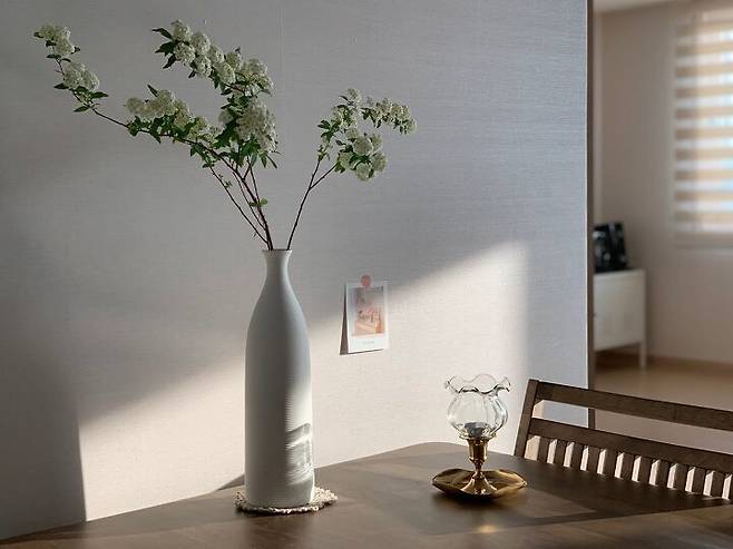 출처: 오늘의집 제품정보 모아보기(▲이미지클릭)