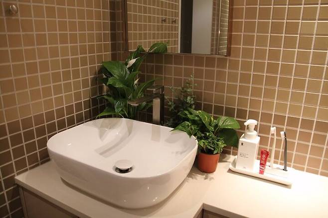 출처: 오늘의집 제품정보 모아보기(▲이미지클릭)