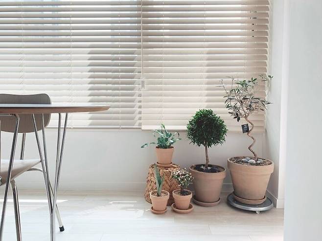 출처: 오늘의집 온라인 집들이 보러가기 (▲ 이미지 클릭)