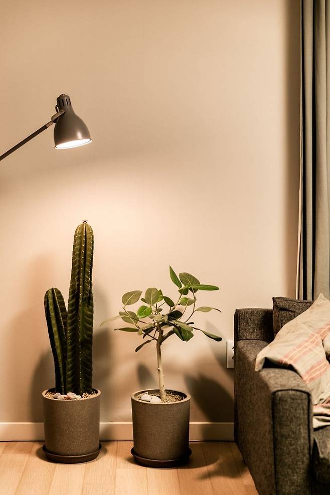 출처: 오늘의집 온라인 집들이 보러가기 (▲ 이미지 클릭)