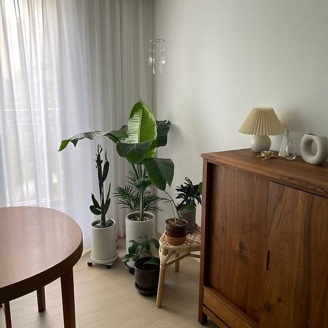 출처: <원목 수납장> 정보 보러가기 (▲이미지 클릭)