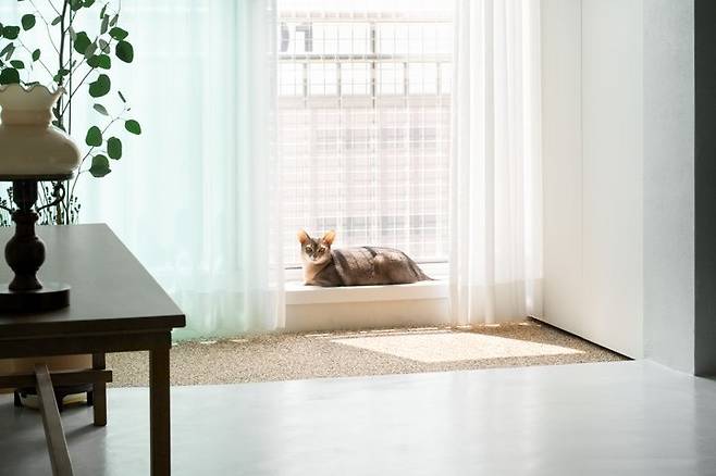 출처: <조명> 제품 정보 보러가기 (▲이미지 클릭)