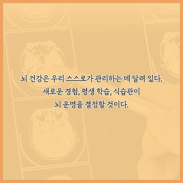 출처: 책식주의