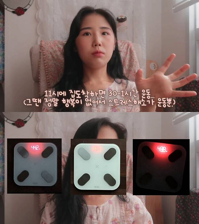 출처: 시야미 유튜브 채널