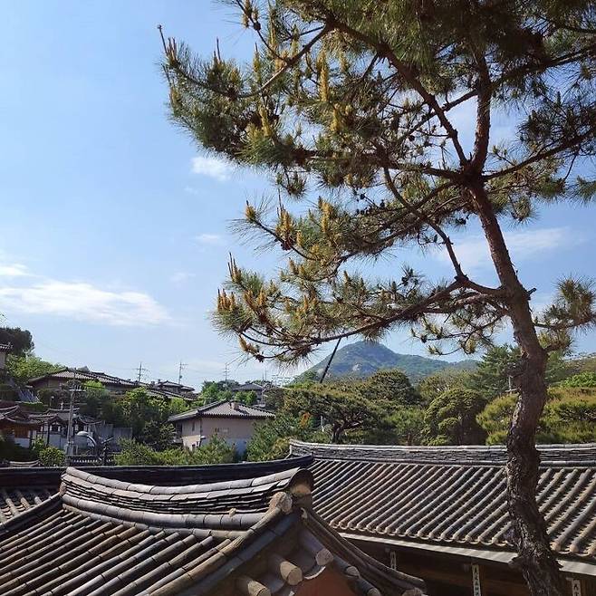 출처: 유담헌 인스타그램 (@bukchon.ydh)