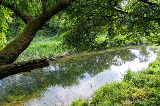 10코스 아흔아홉골길 초반은 맑은 원주천을 따라 걷는다.