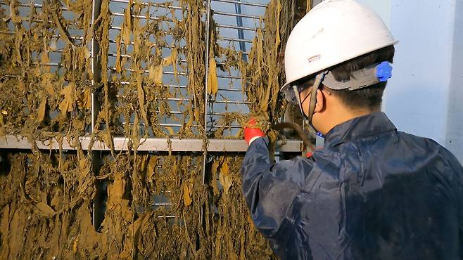 경남 창원의 한 하수 처리시설에서 작업자가 물티슈 이물질을 제거하는 모습