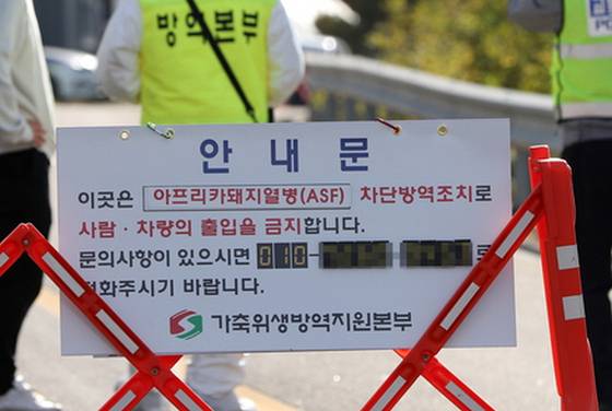 〈사진=연합뉴스〉