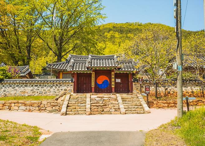 싱그러운 초록빛 나무들이 교동향교를 둘러싸고 있다